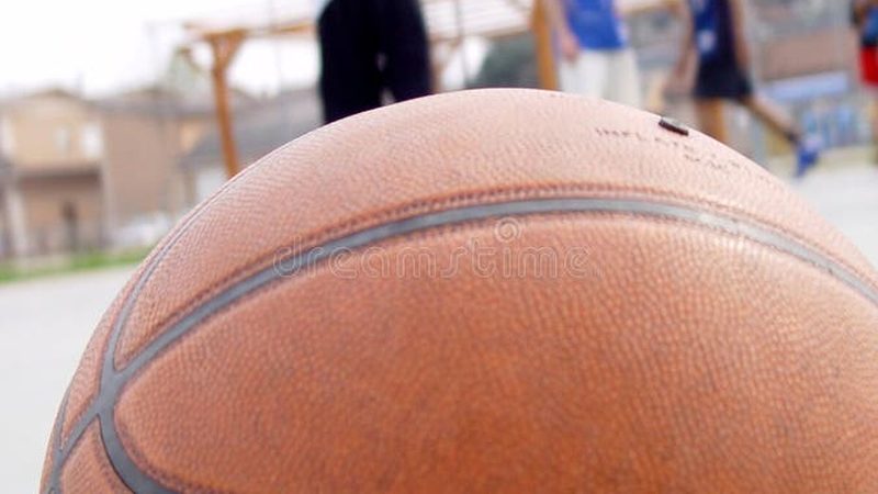 上海中式园林营造：探寻传承与创新的最佳实践