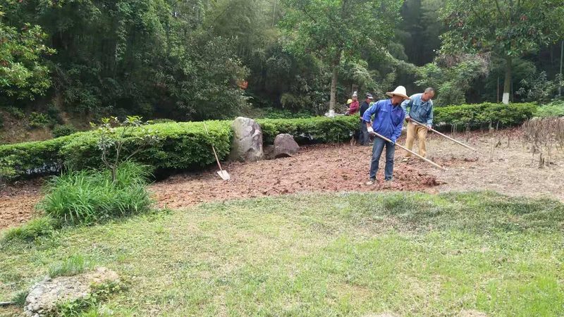 绿化养护与绿植租摆：本质区别与选择要点