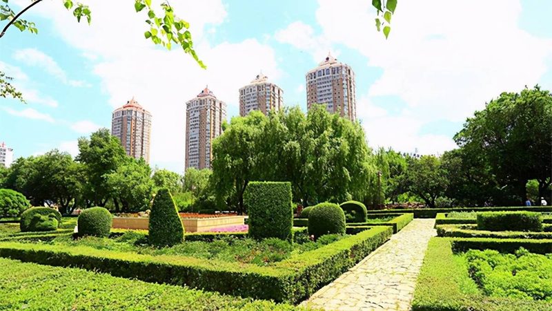 冬季园林植物浇水注意事项：科学灌溉，守护绿色生命