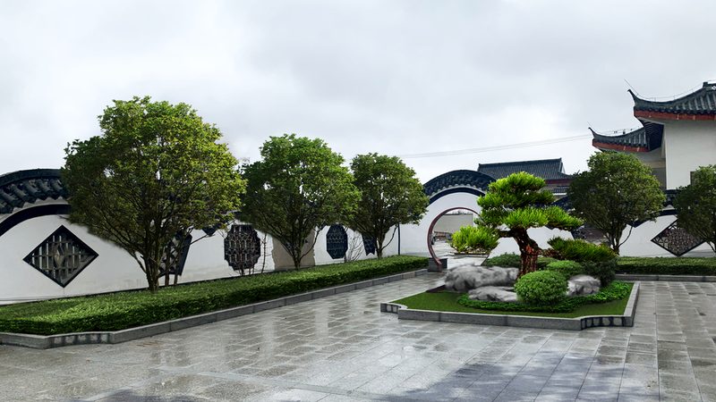 边坡抗冲刷草本植物品种分类解析**