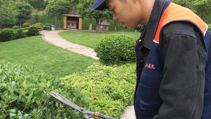 别墅庭院绿化养护，这些细节不能忽视**