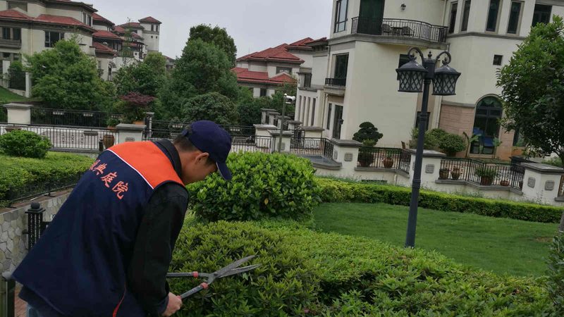 小区绿化草坪施工步骤全解析