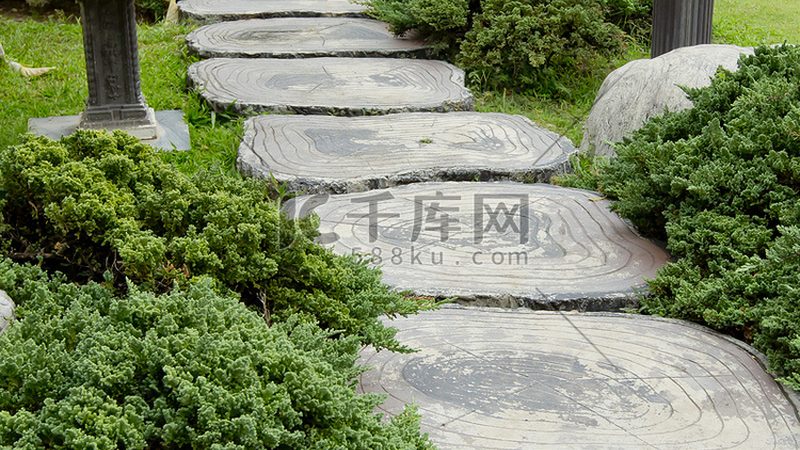 垂直绿化标准规范全解析，下载指南一网打尽