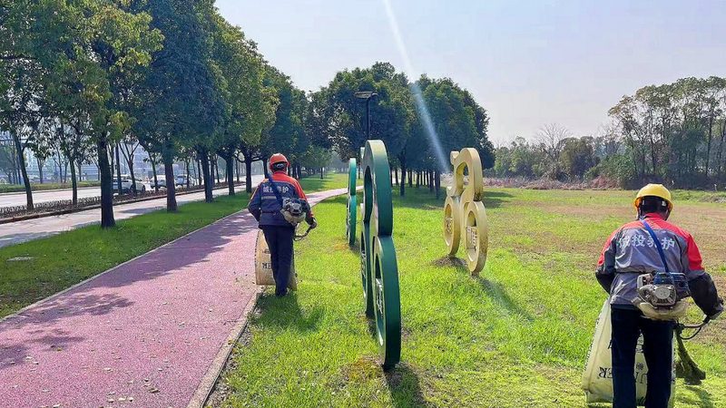 屋顶绿化，让城市“呼吸”绿色**