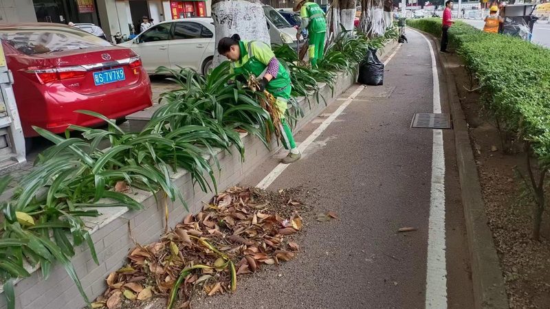 园林绿化土建工程预算编制全解析