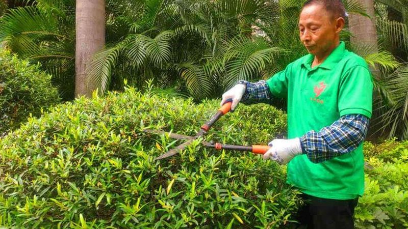 屋顶绿化自动灌溉系统安装：如何实现高效节水与养护
