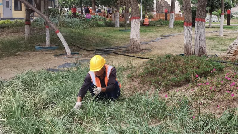 庭院水景防水砂浆配方：打造完美水景的关键