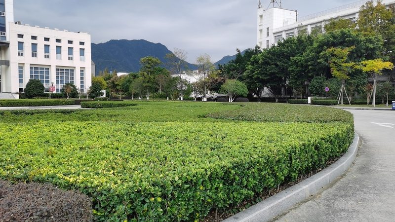 小别墅花园设计：入户景观的五大关键要素**
