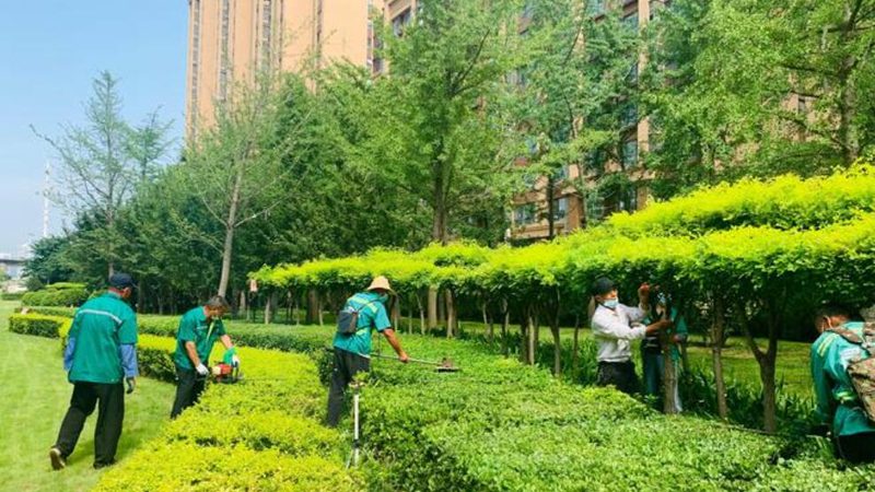 屋顶绿化抗风措施全解析：稳固绿意，安全先行**